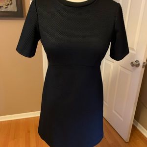 Ann Taylor 0P NWT short sleeve dress